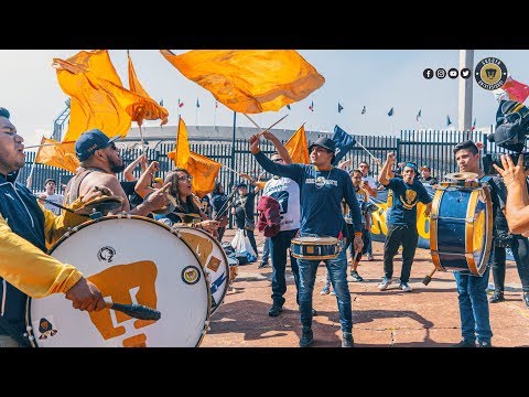 "Â¡Vamos UNAM!" Barra: La Rebel &bull; Club: Pumas