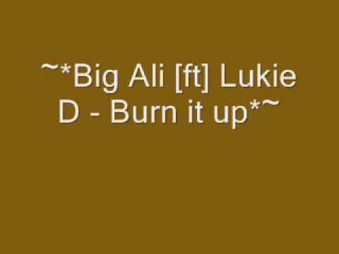 ~Big Ali [ft] Lukie D - Burn it up~