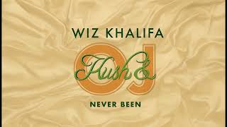 Wiz Khalifa - Never Been - Remix