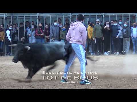 26 DICIEMBRE 2021 - MONCADA - EULOGIO MATEO - LA ULTIMA DEL AÑO ! ! !