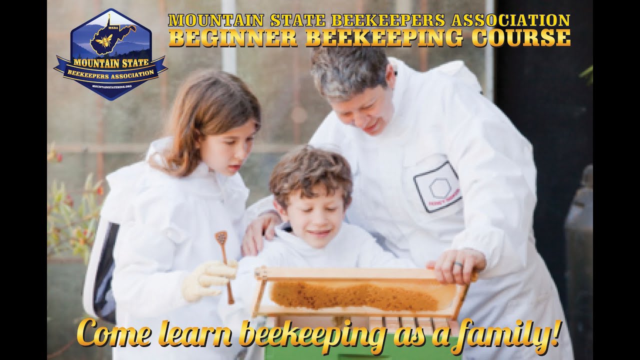 MSBA Beginner Beekeeping Course
