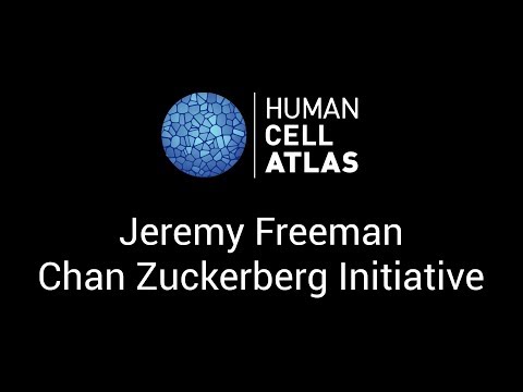 Jeremy Freeman at the Human Cell Atlas Computational Methods meeting - Stockholm, 1-2 June 2017