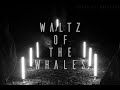 Sound Of Universe - Waltz of the Whales (Official Music Video)