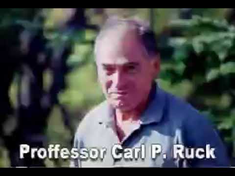 Entheogens 101 with Professor Carl P  Ruck (2004)