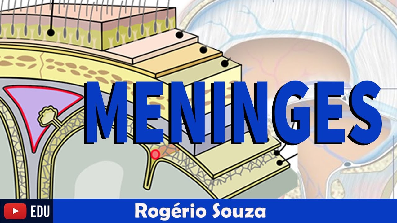 MENINGES - Aspectos funcionais, Localização e Espaços (Video Aula) - Rogério Souza