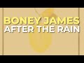 Boney James After The Rain Official Audio