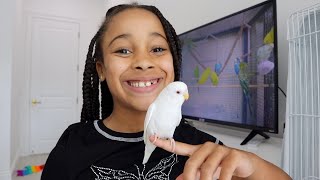 Girls New PET BIRD SURPRISE! | FamousTubeFamily