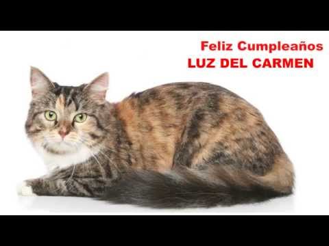 LuzdelCarmen   Cats Gatos - Happy Birthday