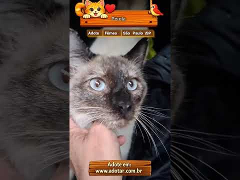 Vídeo de Pérola 