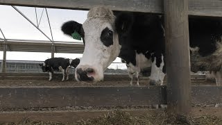 On The Land - Episode 66 video