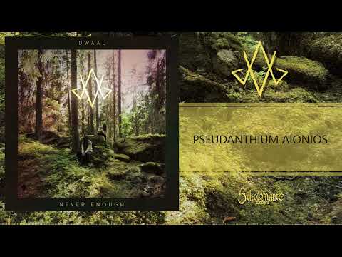 DWAAL - Never Enough | Full Album (2023)