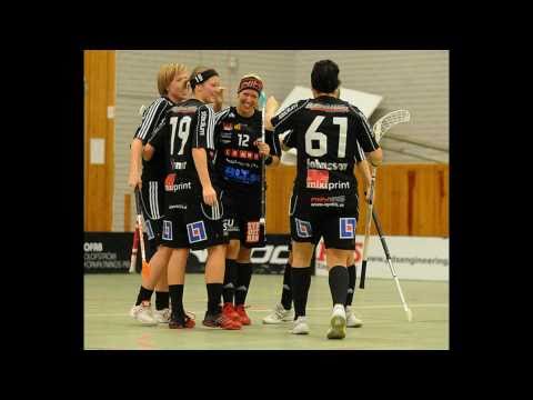 Spelarklipp Damer div1 2010 2011.mpg