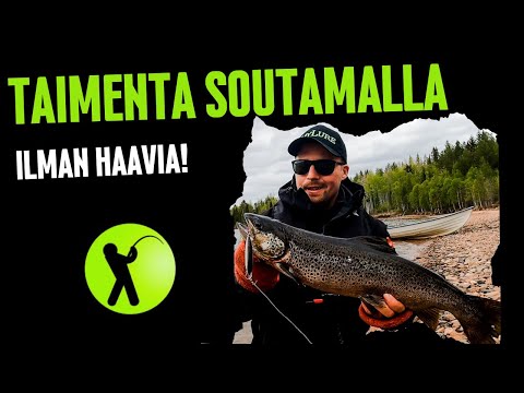 TAIMENTA SOUTAMALLA (TAIMENEN KALASTUS - MYLURE)