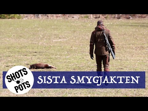 DANYELS DILEMMA - Danyel förlorar synen och kan inte skjuta mer.