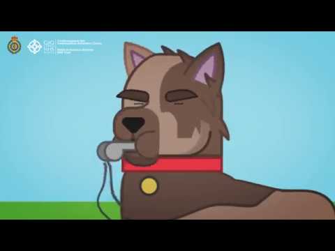 Welsh Ambulance Service - Customer Case Study