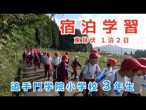 情報学科 【追手門学院小学校】３年生の宿泊学習に密着！〜東鉢伏高原で１泊２日の学び