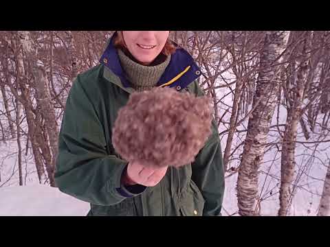 The Eiderdown | 100% Pure Eiderdown for Comforter, Pillow & More