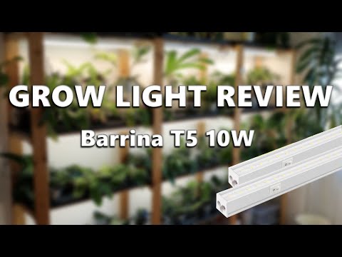Grow Light Review - Barrina 10W T5 Grow Lights
