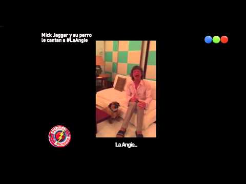 Mick Jagger y su perro le cantan a la Angie - Peligro sin codificar 2015