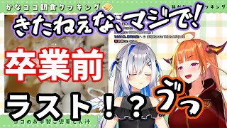 卒業日当日の配信でゲップをしてしまうココ会長、ラストゲップか！？【ホロライブ切り抜き/桐生ココ/天音かなた】