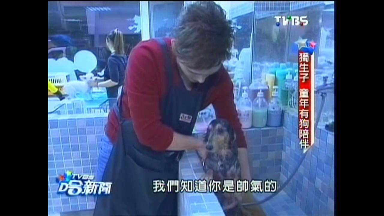 倪安東體驗寵物店員 幫狗洗澡好快樂