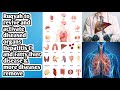 Ruqyah To Revive Activate Diseased Organs Hepatitis C And Fatty Liver Disease More Diseases Remove