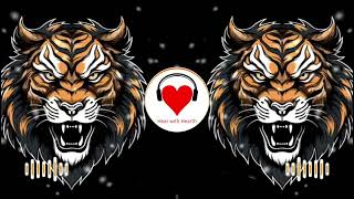 Download lagu DHOLKILA BANDHIN TUJHE PAAY BENAZIR MIX DJ HRK(UNRELEASED WALA JM) mp3