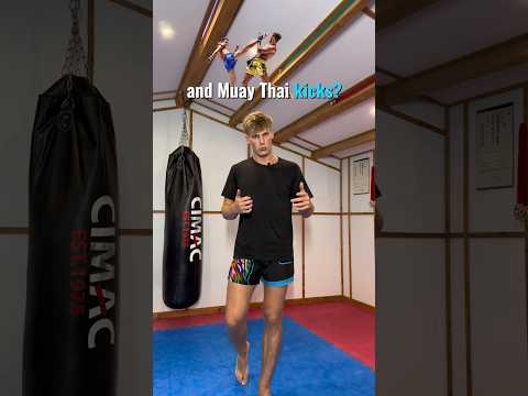 Difference between Muay Thai and karate?