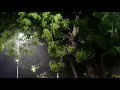 Thiruvannamalai Rain