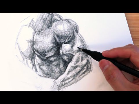 How to Draw and Shade Muscles