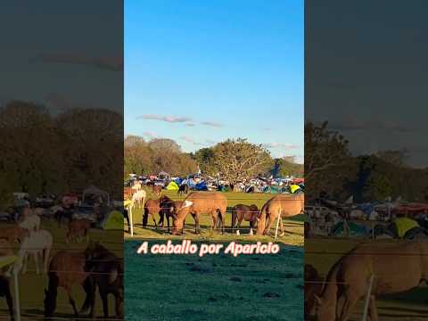 Marcha “A caballo por Aparicio” #marchaporaparicio #lunarejo #rivera
