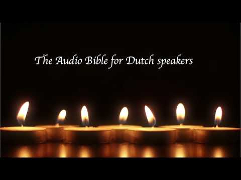 Bible in Dutch Video