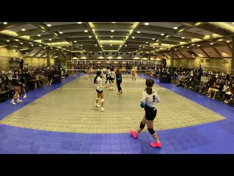 2024 05 12 03 Viper Vs N Coast Orange  001