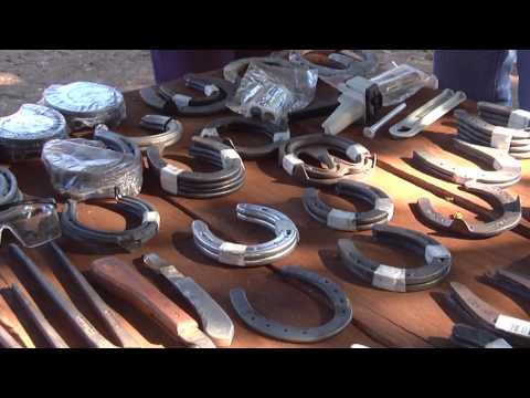 Programa Neusa Bighetti exibido no dia 02/07/2017 -  Curso de Casqueamento e Ferrageamento