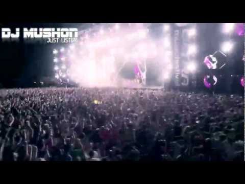 Nero Vs. Tim Mason - Promises Anima (Mushon Mashup)