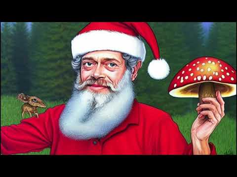 Terence McKenna - Fly Agaric Stories