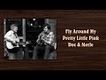 Fly Around My Pretty Little Pink - Doc Watson & Merle Watson
