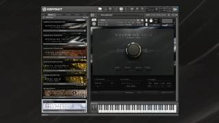 Video thumbnail for SYMPHONY SERIES - WOODWIND SOLO Playthrough | Native Instruments by Native Instruments
