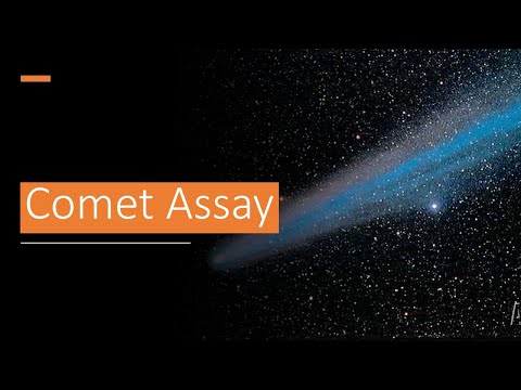 G T 12; What is Comet Assay?, General Toxicology, Module 12