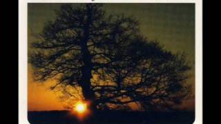 The Mountain Goats - Dinu Lipatti&#39;s bones