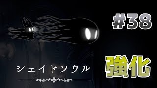 【実況】一匹のムシと滅びゆく王国の物語＃３８【Hollow Knight】