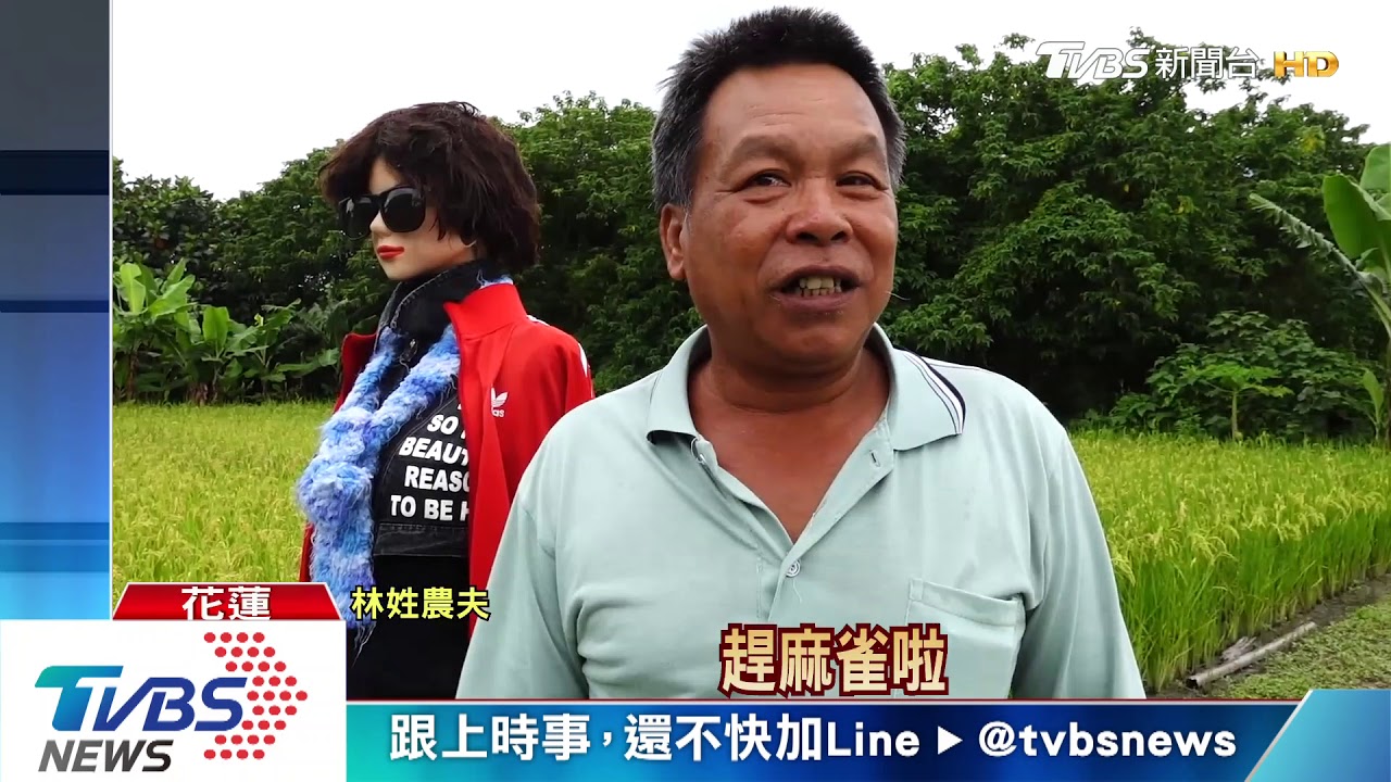她怎站田中!模特兒稻草人 半夜險嚇壞人
