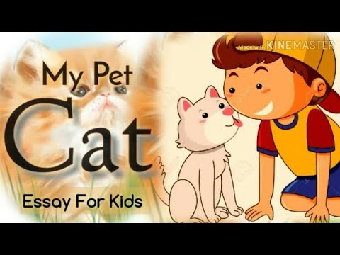 15 lines essay on MY PET CAT in english Video