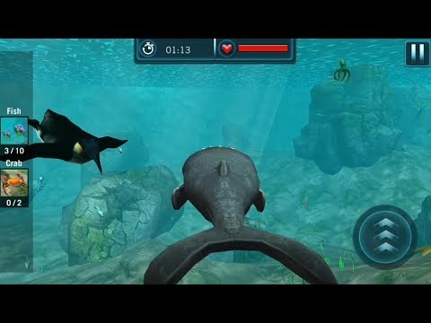 Whale Shark Attack Simulator | Android GamePlay