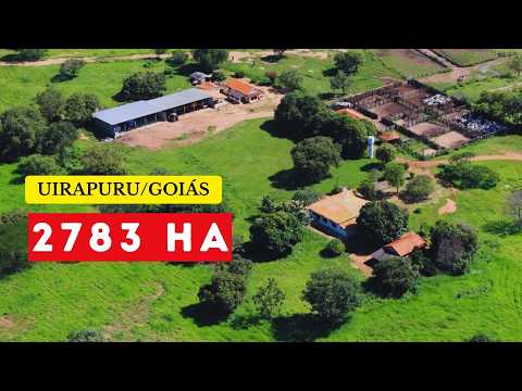 Ativo agropecuário de 2783 Ha em Uirapuru Goiás/Pecuária + Potencial Agrícola/ 80 MILHÕES