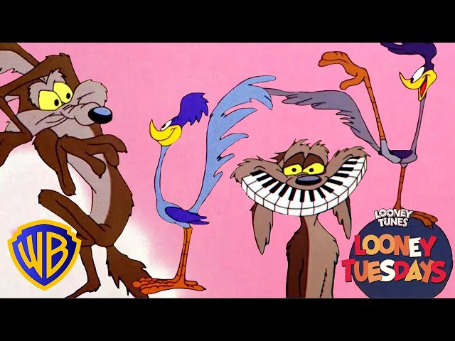 Vídeo relacionado con Looney Tunes Manta 152 x 127 cm, Coyote Wile E Coyote, Tacto Sedoso, Manta súper Suave