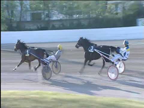 Trotto 19/04/2019 - 8ª corsa