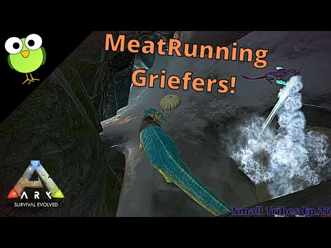 We MeatRan griefers | Official Small Tribes | Episode 26