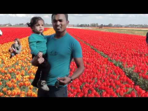 Vindhya at Tulip Gardens