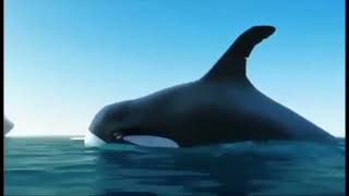 Download lagu Pentingnya Berkolaborasi Positif #videomotivasi mp3